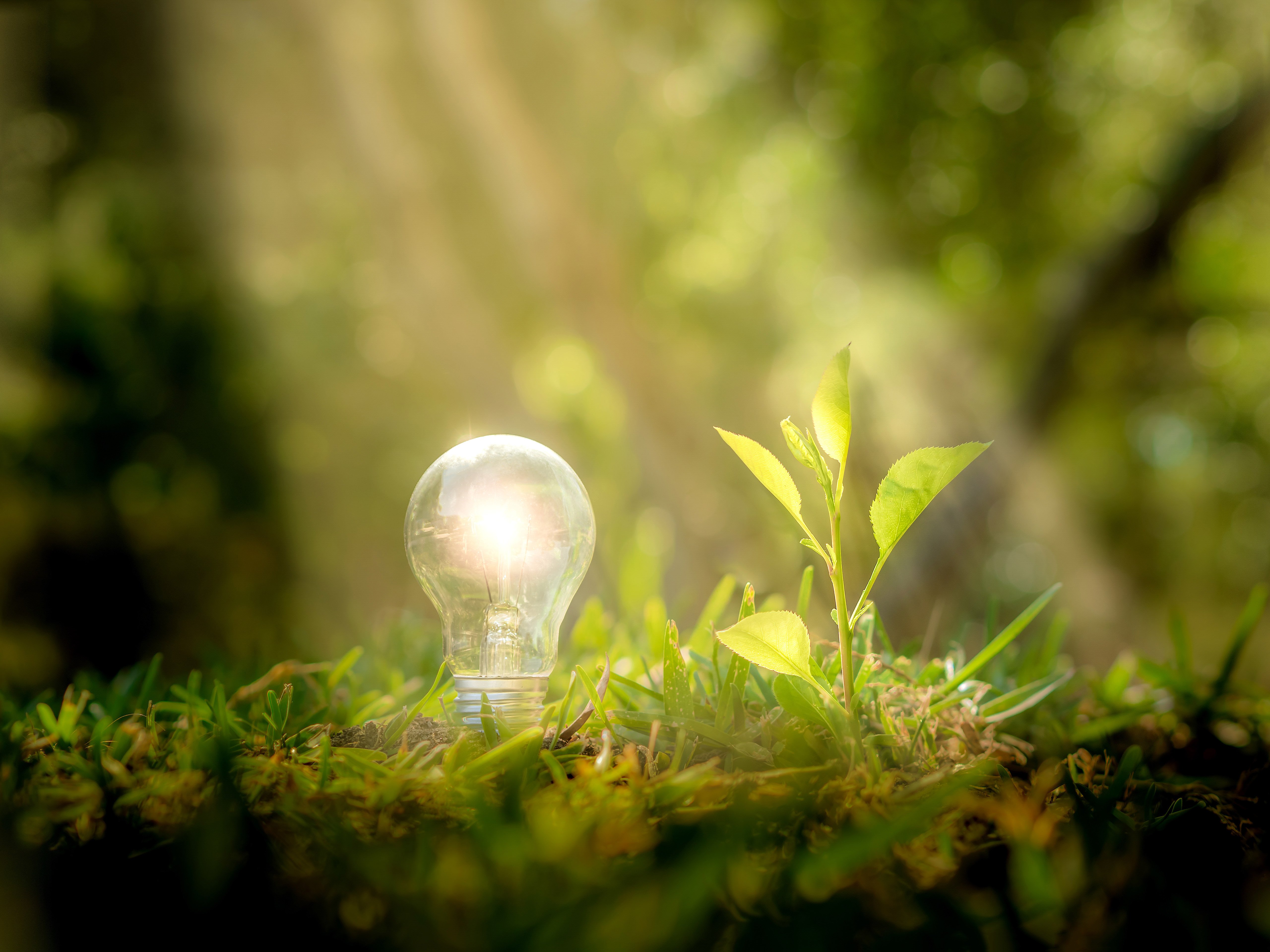 green-light-for-the-decarbonisation-of-the-industrial-sme-sector